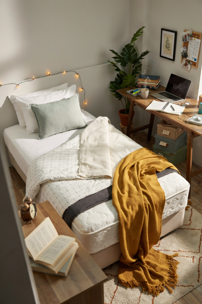 Invest in a Mattress Protector